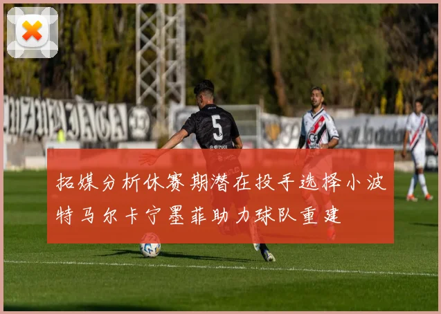 拓媒分析休赛期潜在投手选择小波特马尔卡宁墨菲助力球队重建